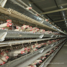 China Hersteller heiß verzinkt H Typ Design Schicht Hühnerkäfige Hühnerkäfig